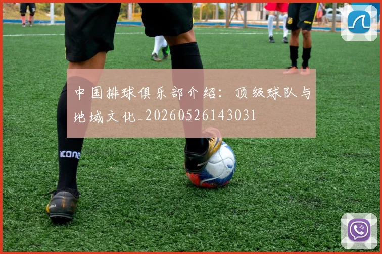 中国排球俱乐部介绍:顶级球队与地域文化_20260526143031